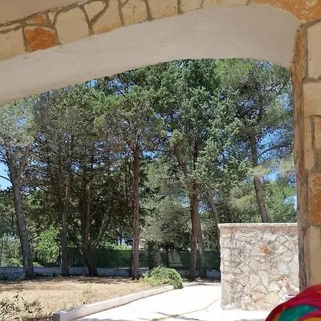 度假居 Pinehouse *