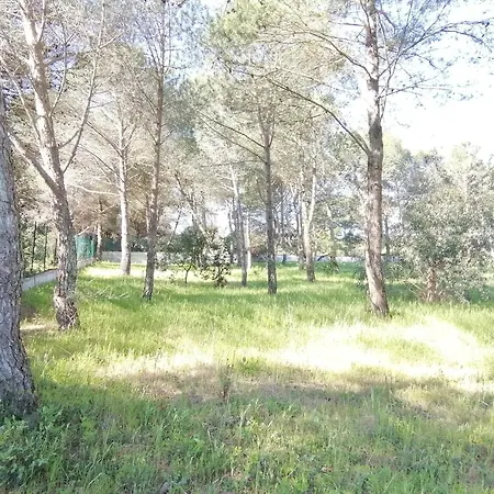 度假居 Pinehouse Montemesola